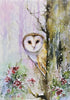 HOLIDAY BOXED WOODLAND OWL